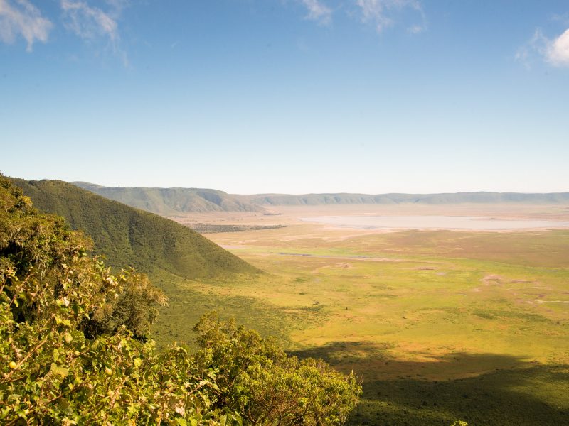 Ngorongoro Carter day trip
