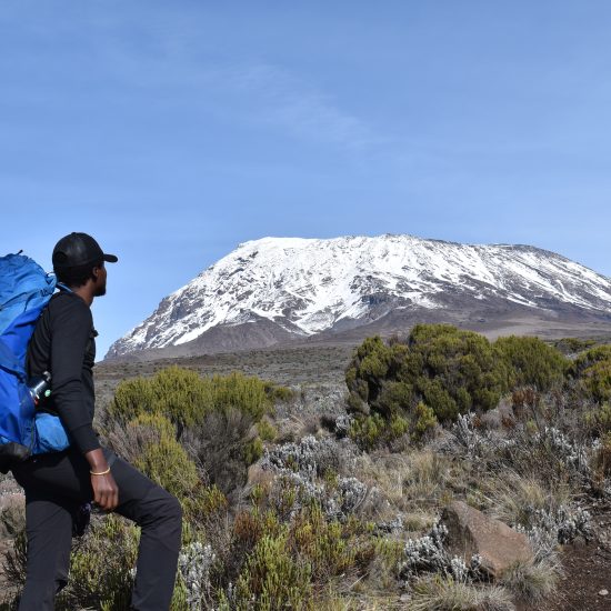 summit- Mount-Kilimanjaro,lemosho route, bet route kilimanjaro
