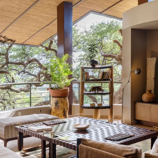 Tanzania luxury safari