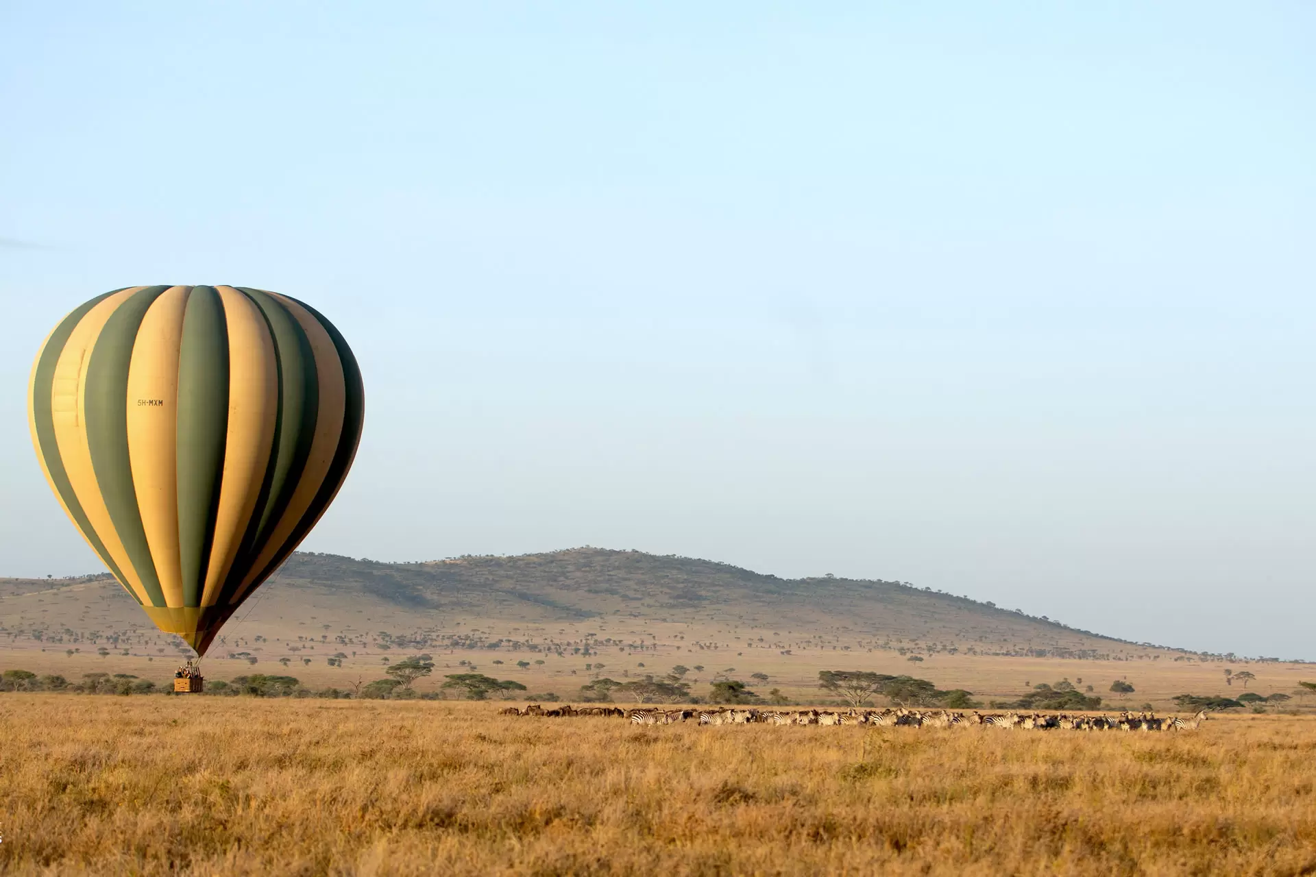 serengeti hot air balloon